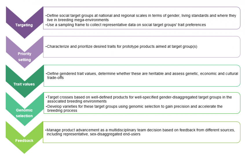 The “must-have” features of gender-responsive plant or animal breeding -  CGIAR Gender and Breeding Initiative