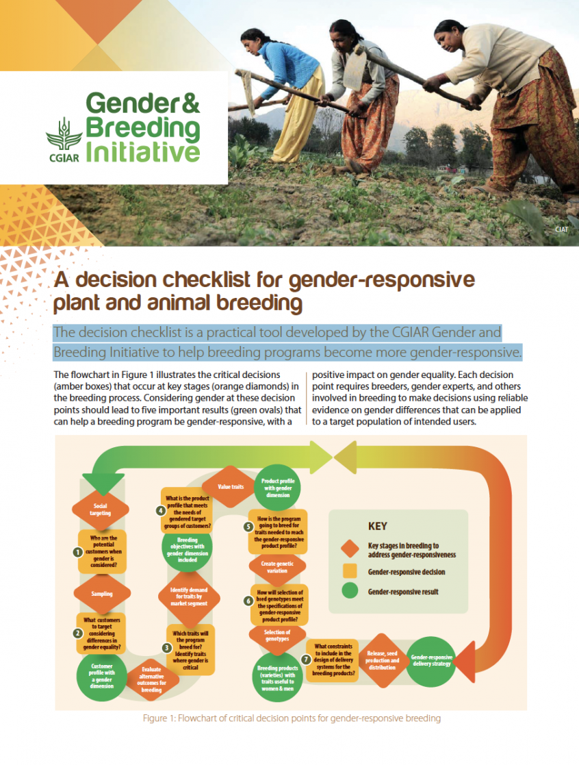 Flyer Archives - CGIAR Gender and Breeding Initiative