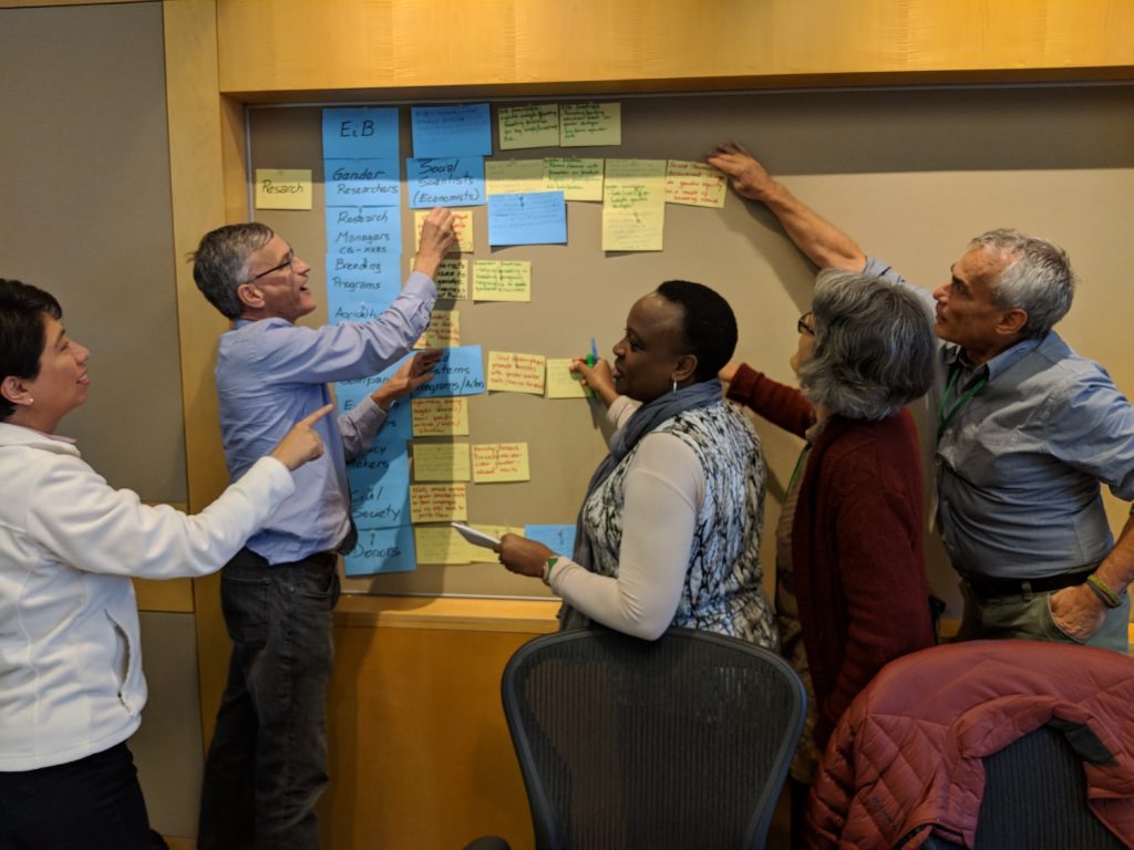 DURING THE WORKSHOP, PARTICIPANTS PREPARED AND DISCUSSED EXAMPLES OF G+ TOOL IMPLEMENTATION. PHOTO: CORNELL UNIVERSITY