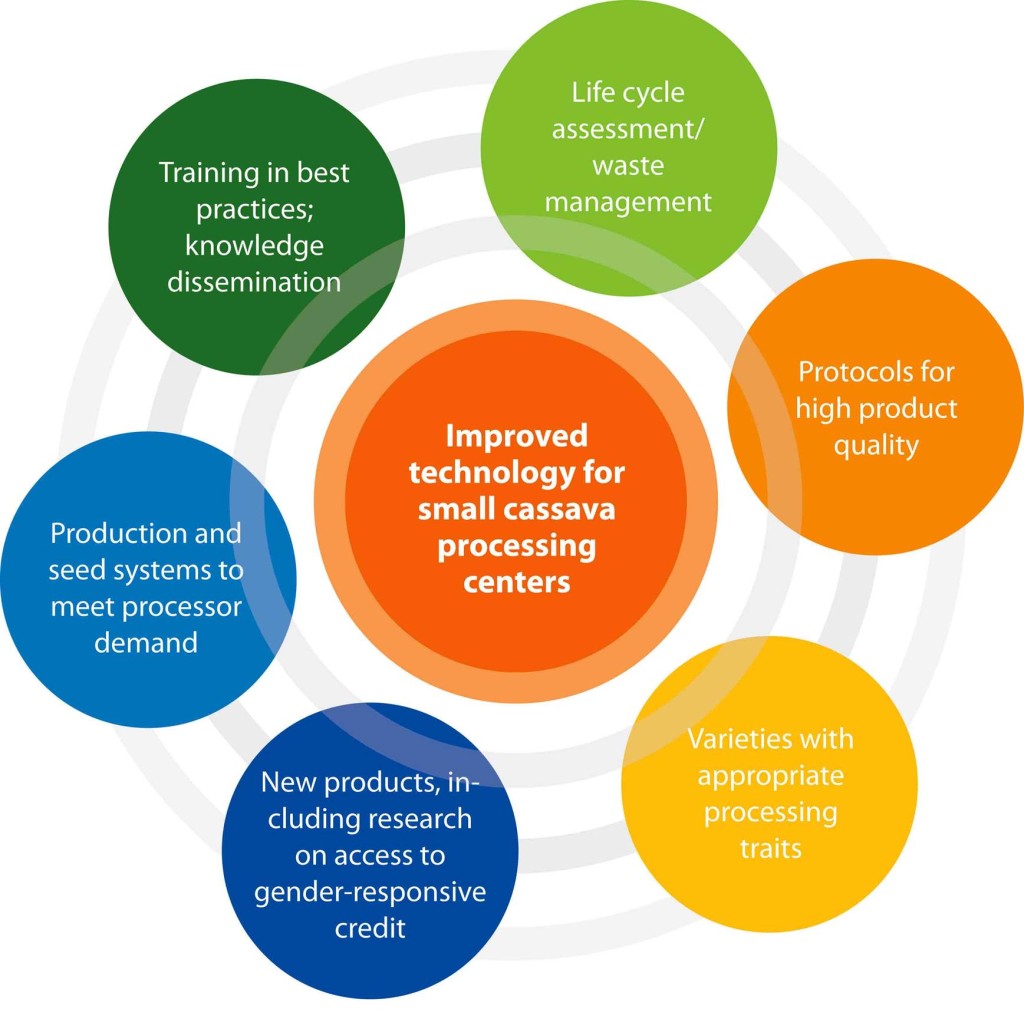 Delivery flagship: Raising incomes and improving the health and safety at small cassava processing centers - rural women