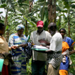 Promusa