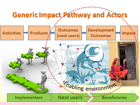 Impact Pathway