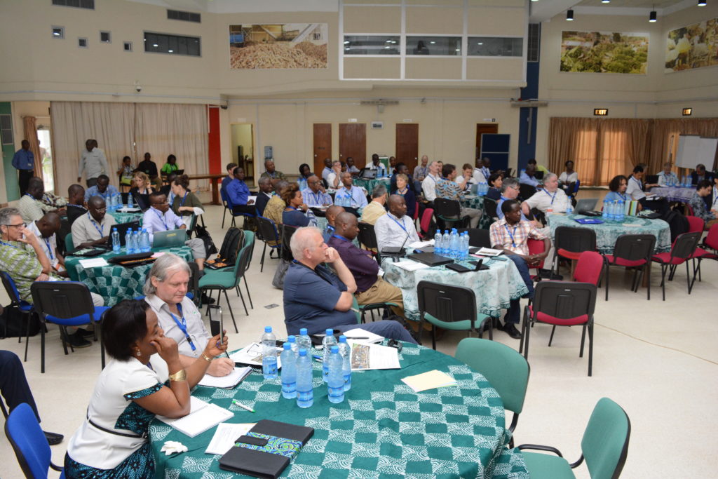 Participants at the Systems Marketplace event. Photo by O.Abioye/IITA