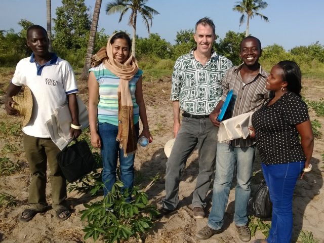 Surveying experts in India and Tanzania to fill seed degeneration knowledge gaps