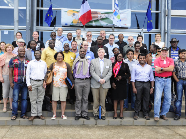 International meeting results in Pan-African cassava disease network