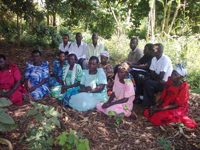 Including women’s preferences to enhance cassava breeding programs - conversing with Bill Gates