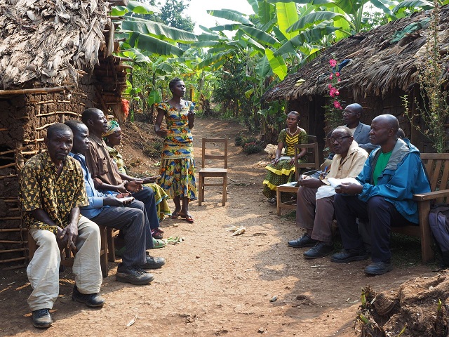 ILAC pilots transdisciplinary research on Banana Xanthomonas Wilt in DR Congo