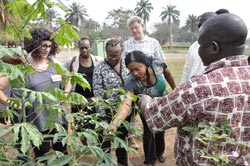 RTB-NextGen Cassava project organizes gender research workshop in Nigeria in preparation for Phase II