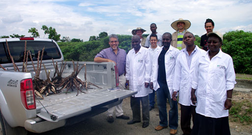 Yuca colombiana, modelo de interés para Uganda