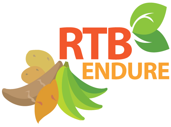 New website launched for the RTB-ENDURE project