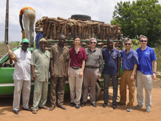 Benchmark for mechanized cassava processing