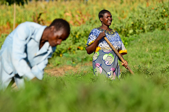 Enabling gender equality in agricultural and environmental innovation