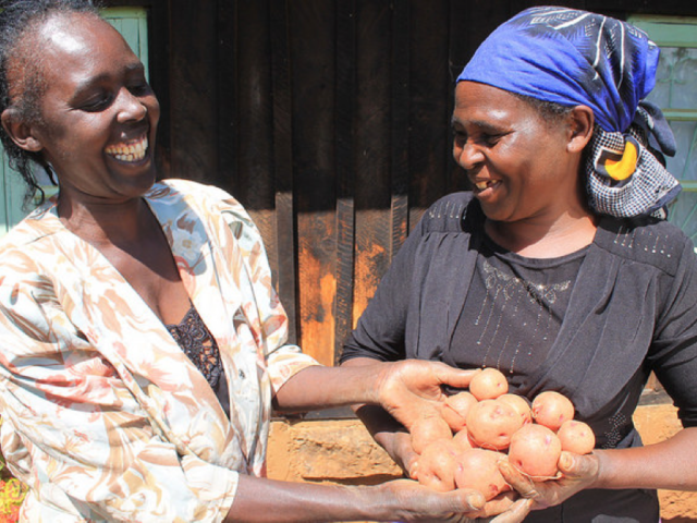 Accelerating Africa’s economic growth through root and tuber crops