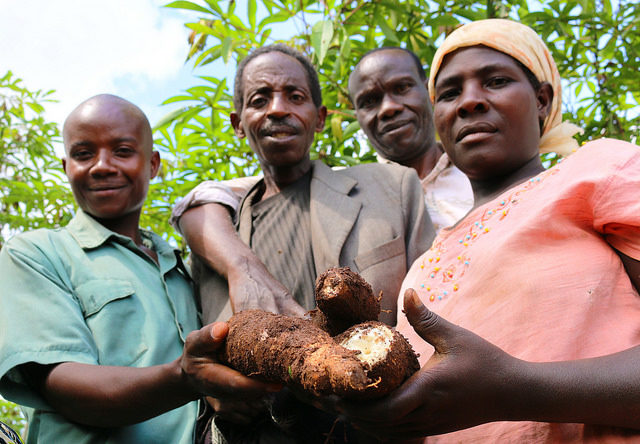 Building momentum for gender-responsive breeding