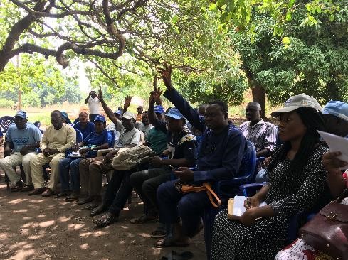 Spotlight on Village Seed Entrepreneurs making money from cassava stems in Nigeria