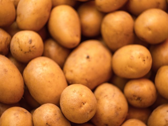 New book offers science-based information to guide potato research and development