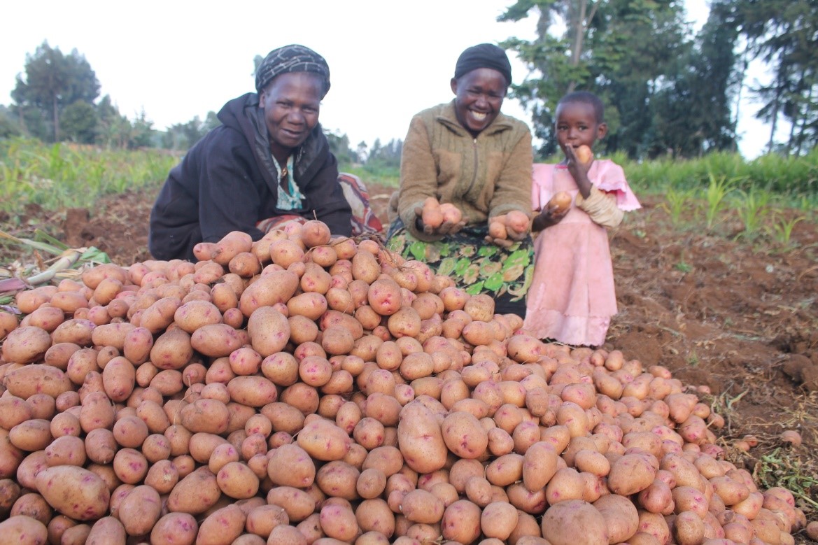 Can Villagers Breed With Potatoes?