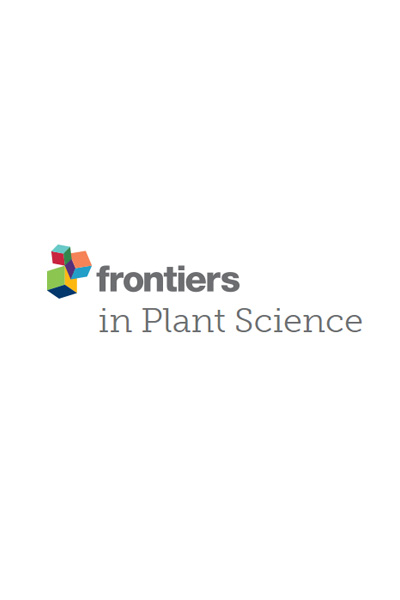 Fusarium Wilt of Banana: Current Knowledge on Epidemiology and Research Needs Toward Sustainable Disease Management