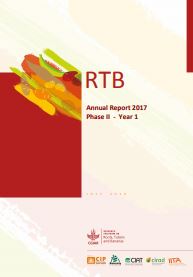 RTB Annual Report 2017. Phase II - Year 1.