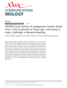 CRISPR/Cas9 editing of endogenous banana streak virus in the B genome of Musa spp. overcomes a major challenge in banana breeding