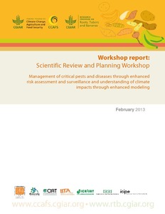 RTB and CCAFS scientific and planning workshop report.