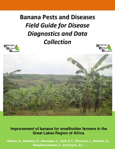 Banana diseases and pests:
 field guide for diagnostics and data collection