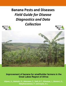 Banana diseases and pests:
 field guide for diagnostics and data collection