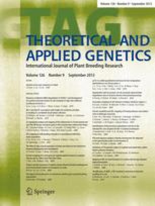 Sequencing depth and genotype quality: accuracy and breeding operation considerations for genomic selection applications in autopolyploid crops