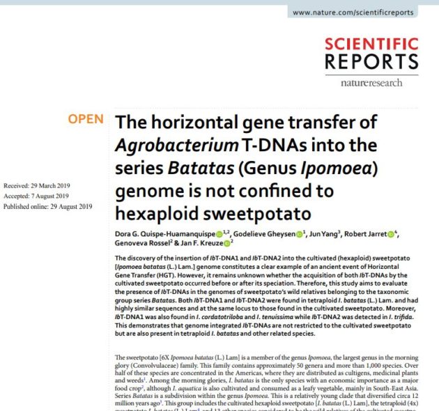 The horizontal gene transfer of Agrobacterium T-DNAs into the series Batatas (Genus Ipomoea) genome is not confined to hexaploid sweetpotato.