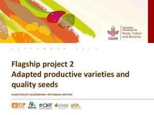 Flagship project 2: Adapted productive varieties quality seeds.