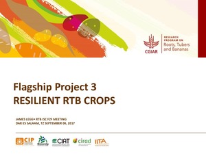 Flagship project 3: Resilient RTB crops.