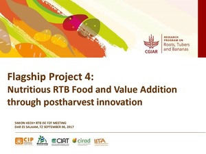 Flagship project 4: Nutritious RTB food and value addition through postharvest innovation.