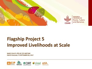 Flagship project 5: Improved livelihoods at scale.