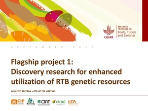 Flagship project 1: Discovery research for enhanced utilization of RTB genetic resources.