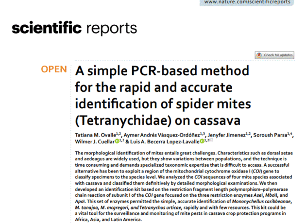 A simple PCR-based method for the rapid and accurate identification of spider mites (Tetranychidae) on cassava