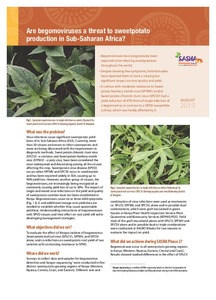 Are begomoviruses a threat to sweetpotato production in Sub-Saharan Africa?