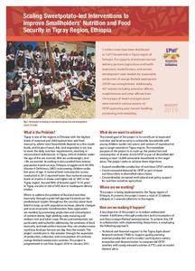 Scaling sweetpotato-led interventions to improve smallholders’ nutrition and food security in Tigray Region, Ethiopia.