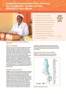 Developing integrated value chains to enhance rural smallholders’ incomes and food (DIVERSIFY) project-Malawi.