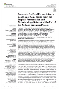 Prospects for Food Fermentation in South-East Asia, Topics From the Tropical Fermentation and Biotechnology Network at the End of the AsiFood Erasmus+Project