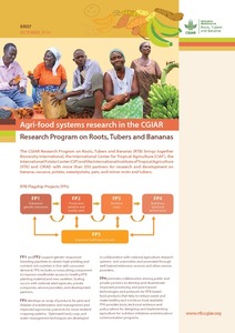 Agri-food systems research in the CGIAR Research Program on Roots, Tubers and Bananas.