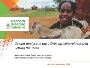Gender analysis in the CGIAR agricultural research: Setting the scene