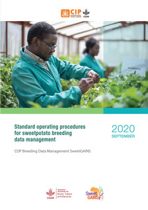 Standard operating procedures for sweetpotato breeding data management. COP Breeding Data Management SweetGAINS