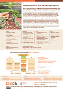 Innovation profile to scale apical cuttings of potato