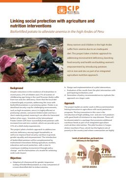 Linking social protection with agriculture and nutrition interventions. Biofortified potato to alleviate anemia in the high Andes of Peru. Project profile