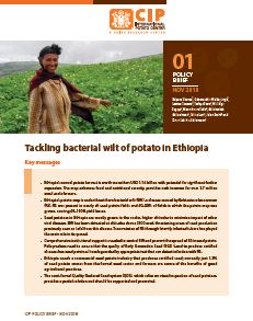 Tackling bacterial wilt of potato in Ethiopia. Key messages. CIP Policy Brief 01.