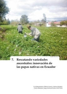 Rescatando variedades ancestrales: Innovacion de las papas nativas en Ecuador.