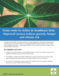From roots to riches in Southeast Asia: improved cassava reduces poverty, hunger and climate risk
