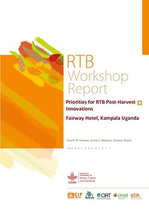 Priorities for RTB post-harvest innovations. RTB Workshop Report