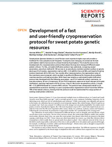 Development of a fast and user-friendly cryopreservation protocol for sweet potato genetic resources