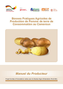 Bonnes pratiques agricoles de production de pomme de terre de consommation au Cameroun: Manuel du producteur
